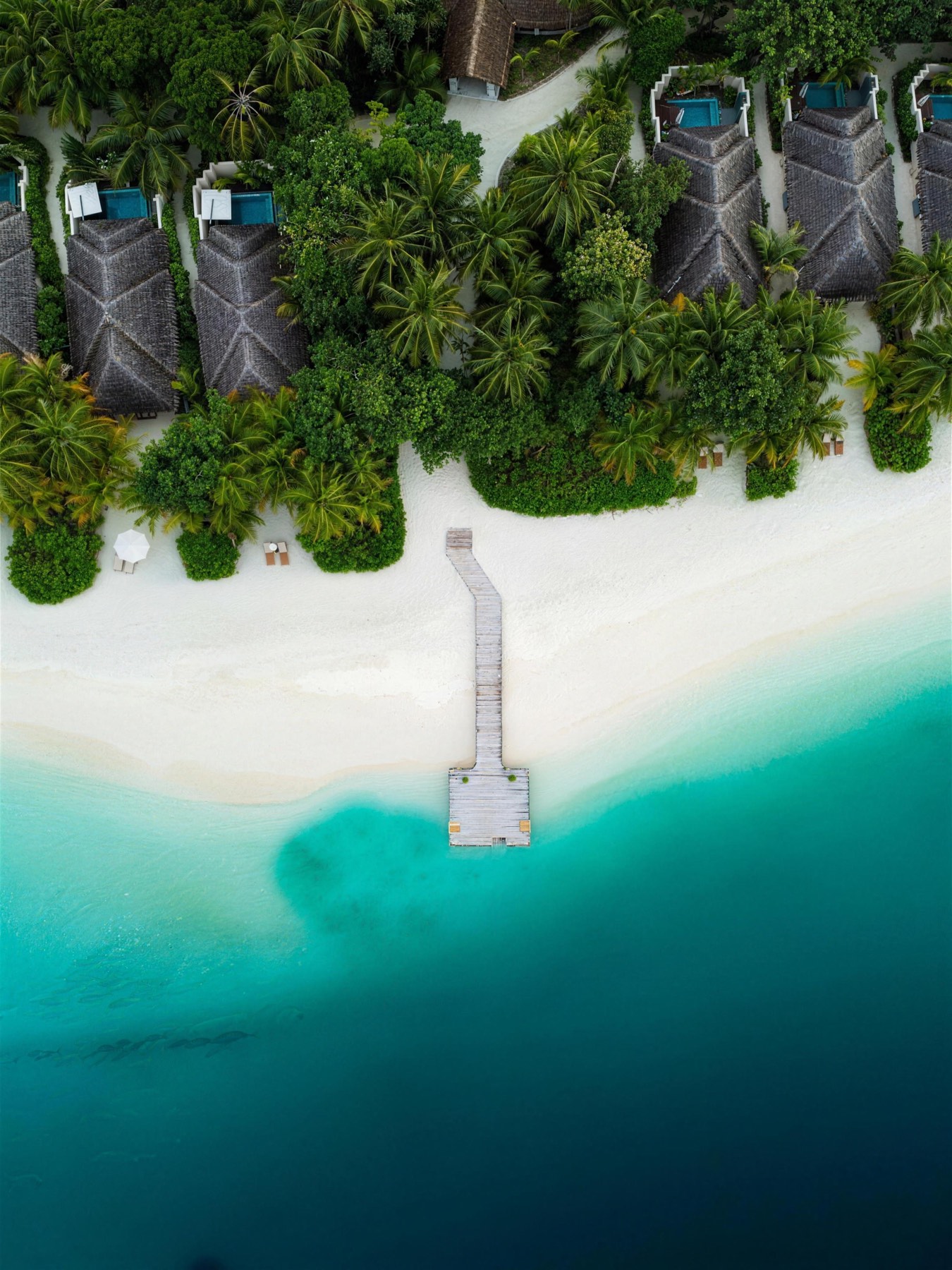 An aerial view of thatched-roof villas among palm trees on a white-sand beach in the Maldives