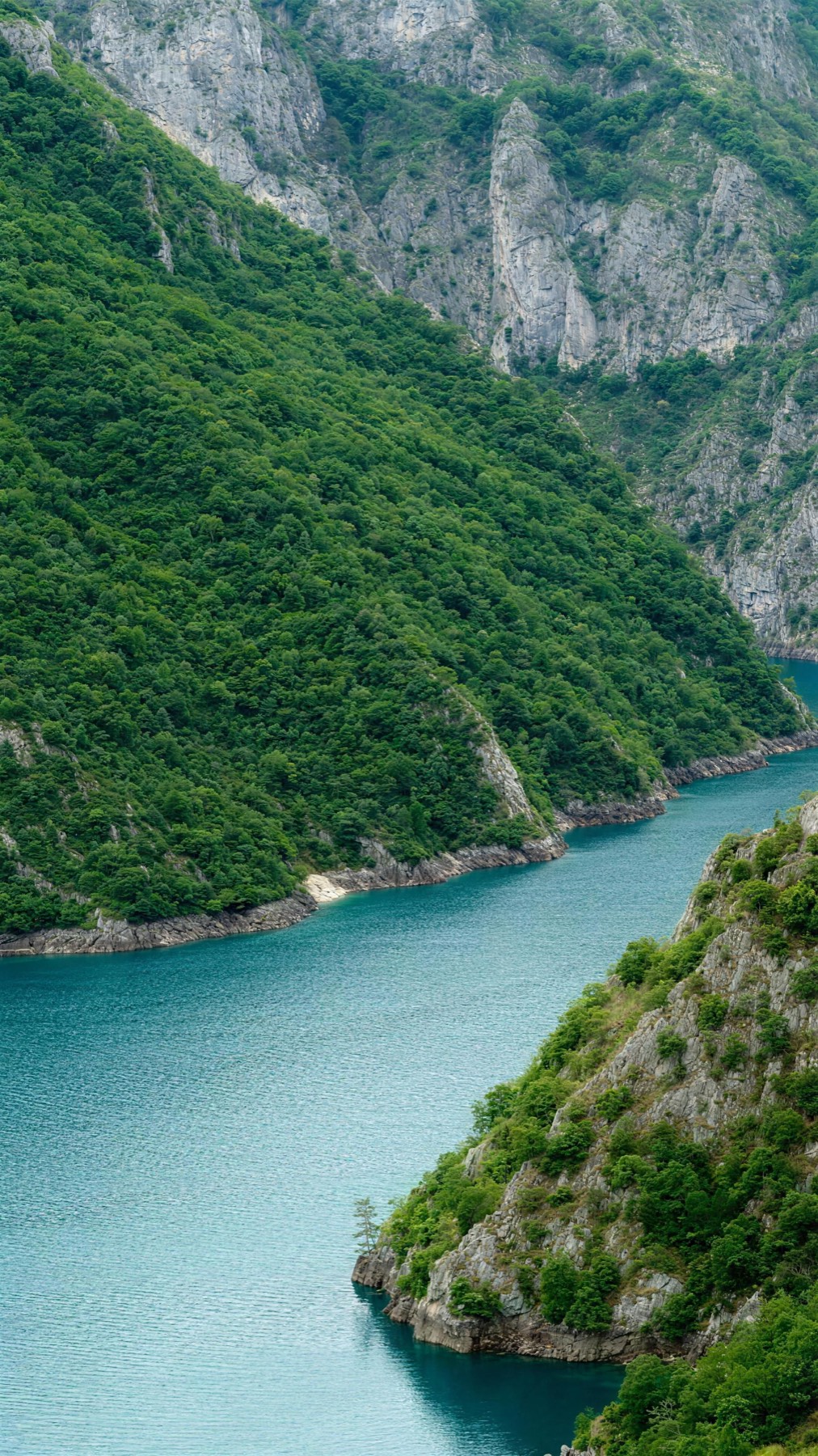 A turquoise fjord winding between forested mountains in Montenegro