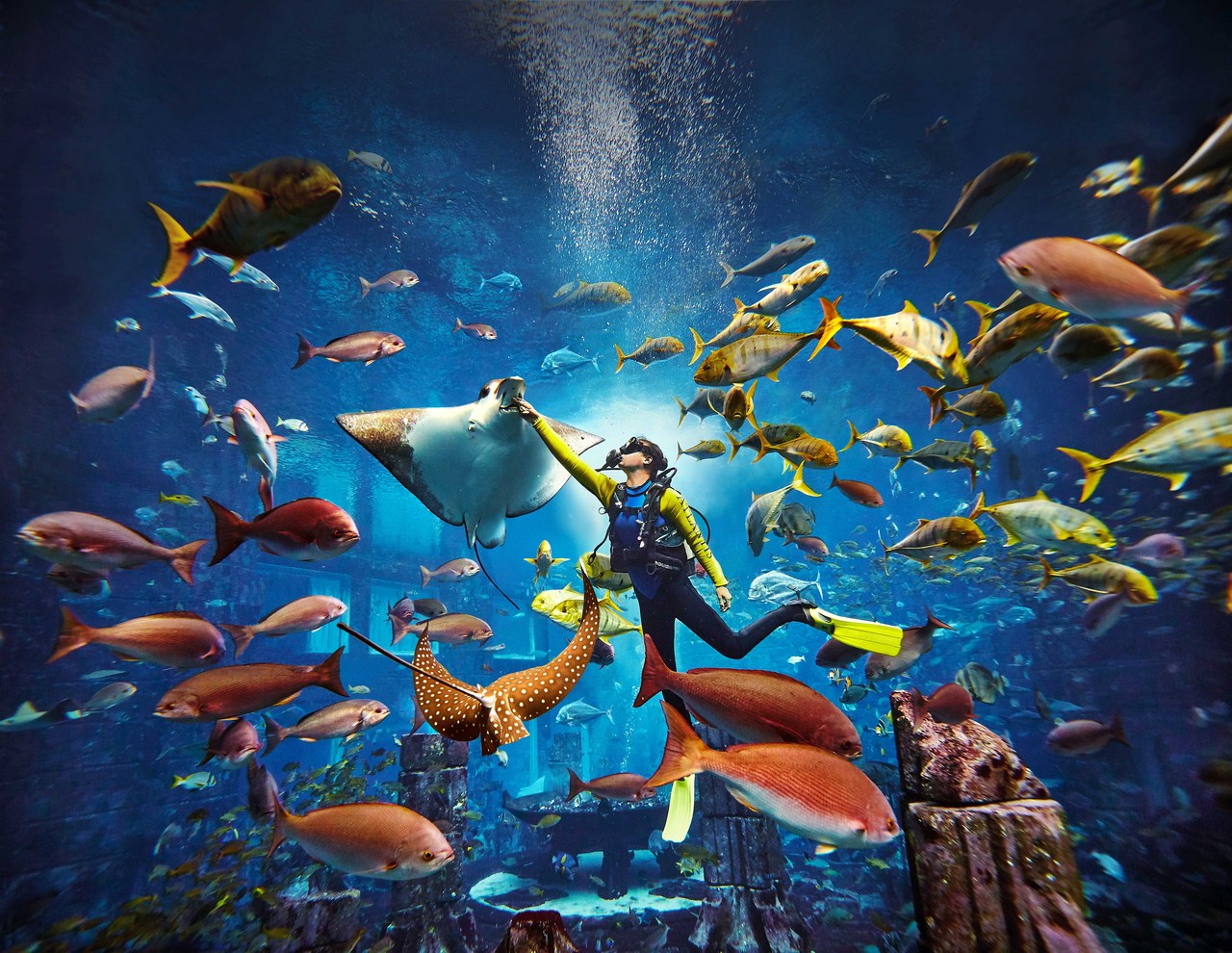 Atlantis, The Palm