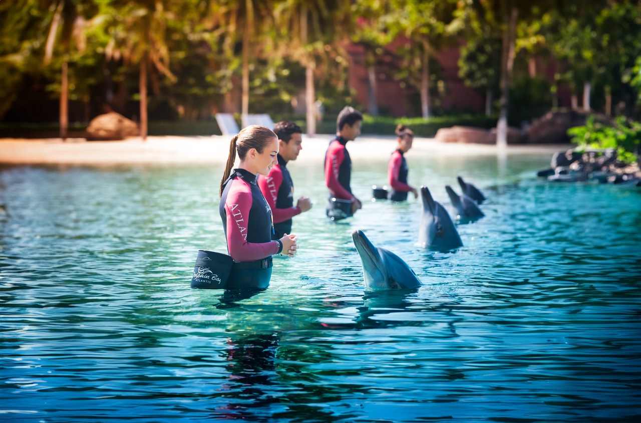 Atlantis, The Palm