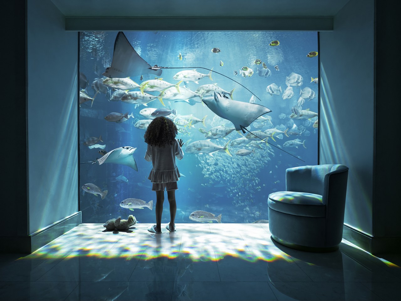 Atlantis, The Palm