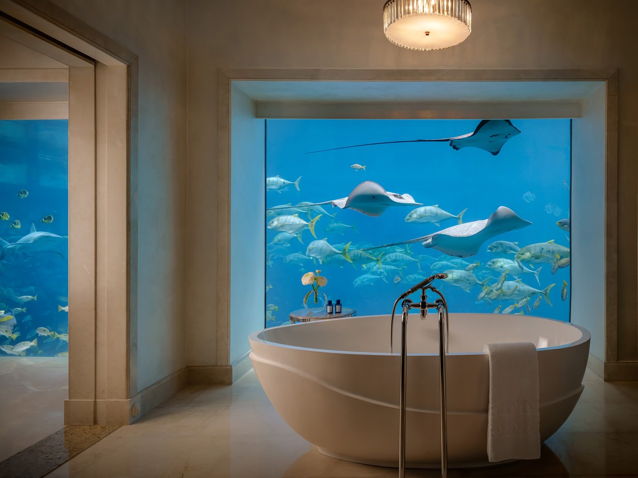 Atlantis, The Palm