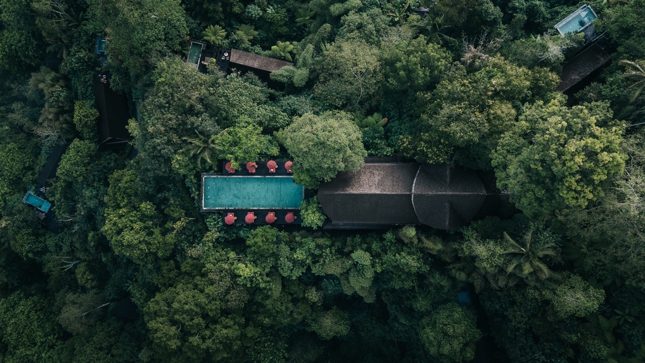 Buahan, A Banyan Tree Escape