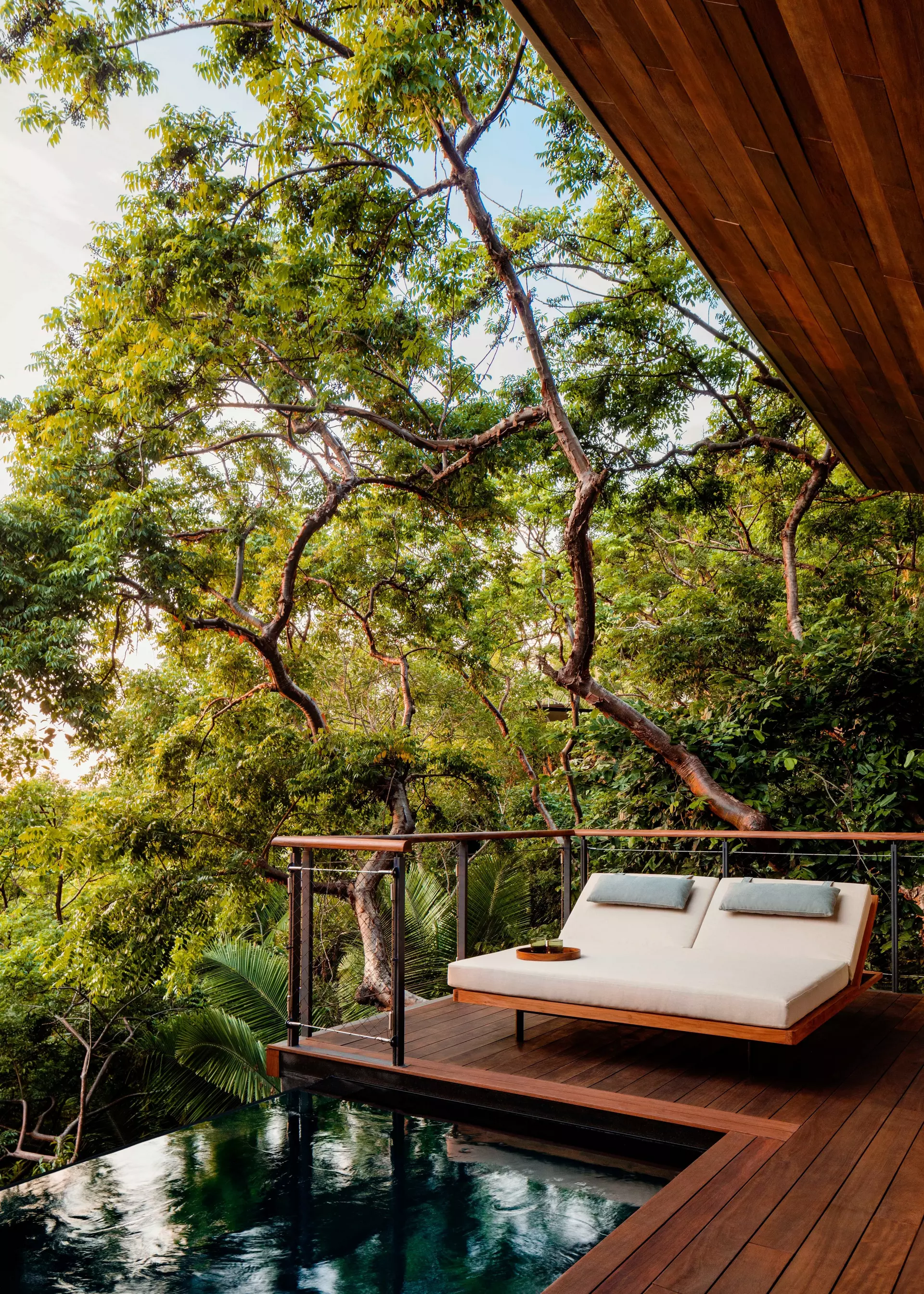 Ocean Treehouse