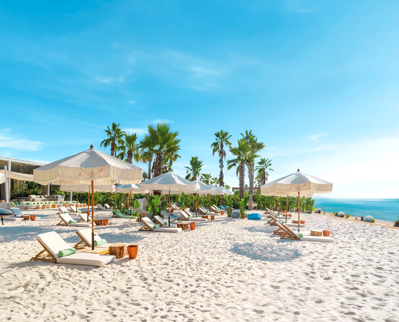 Regnum Carya