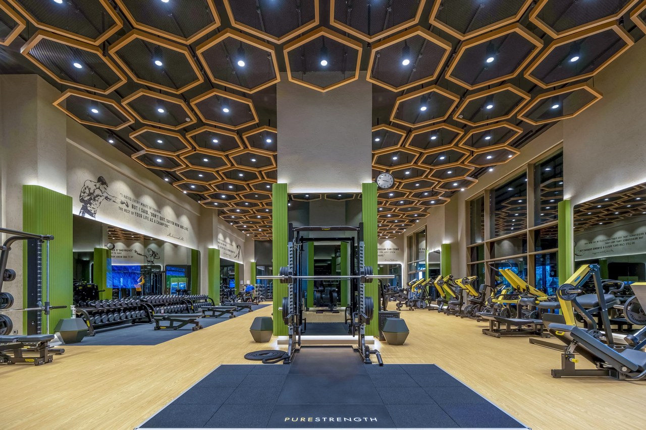 Regnum Carya