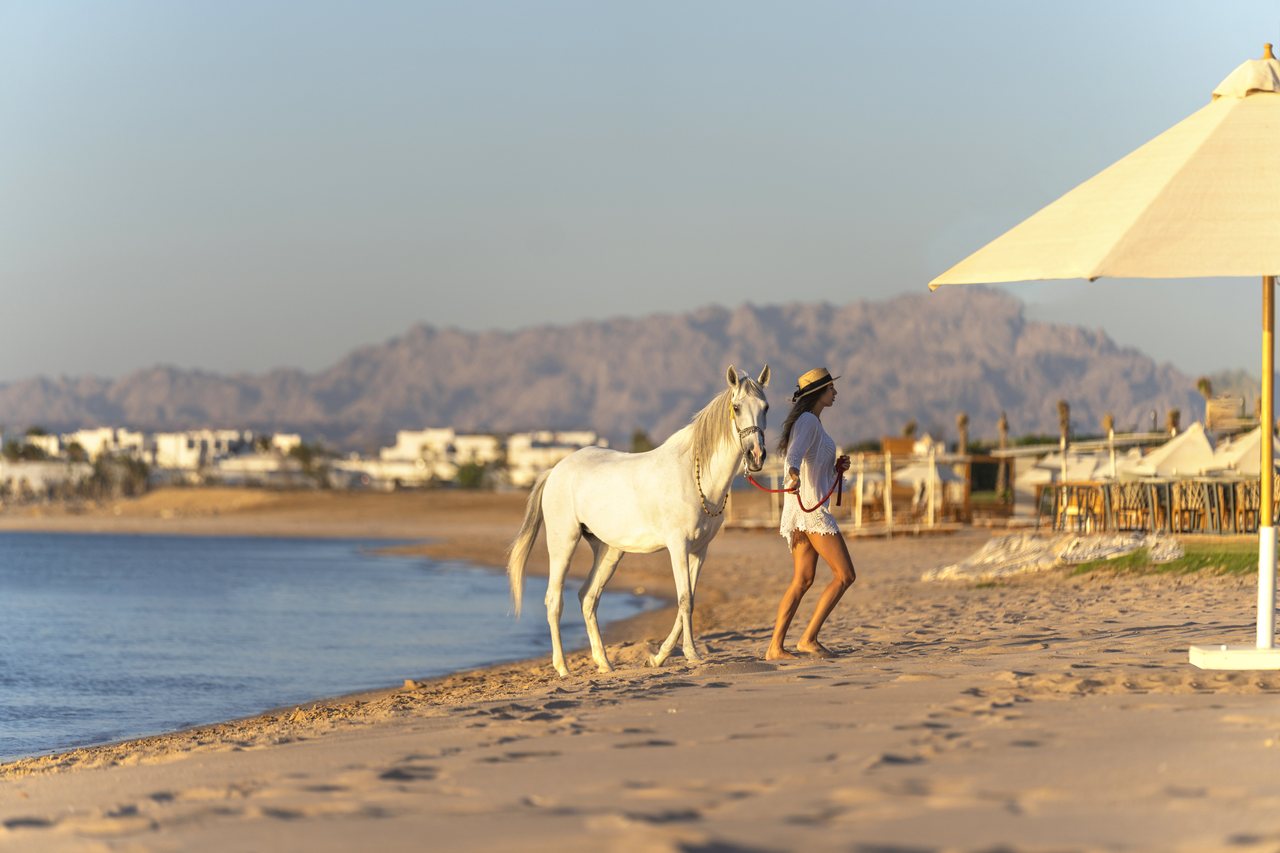 Rixos Premium Magawish Suites and Villas